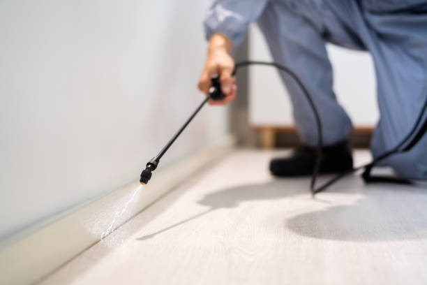Professional exterminator conducting IPM assessment in Brinckerhoff