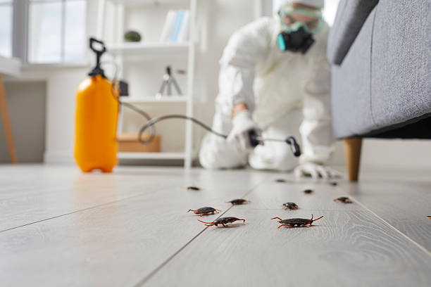 Commercial Rodent Management in Brinckerhoff